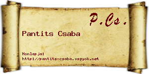 Pantits Csaba névjegykártya